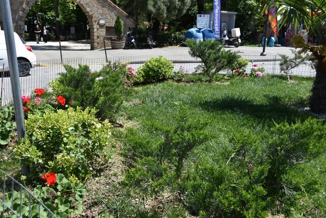Φυτεύσεις λουλουδιών και καλλωπισμός από τον Δήμο Νάουσας και την Αντιδημαρχία Περιβάλλοντος και Πρασίνου
