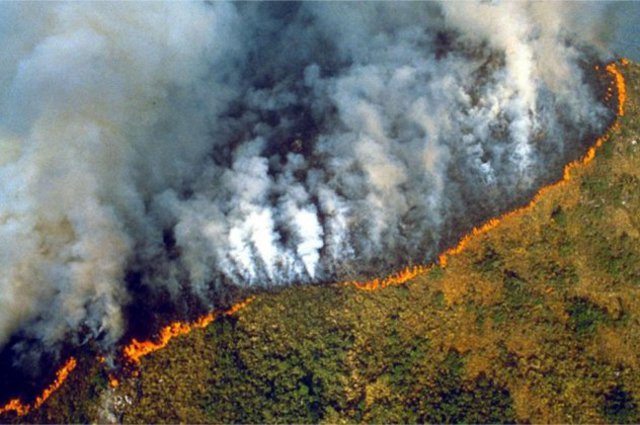 Στις φλόγες ο Αμαζόνιος – Ρεκόρ πυρκαγιών στο Παντανάλ