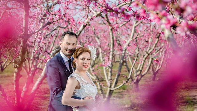 Ζευγάρια από το εξωτερικό θέλουν γαμήλια φωτογράφιση στις ανθισμένες ροδακινιές της Ημαθίας