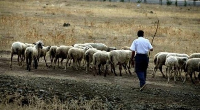 Ημαθία: Ενημέρωση κτηνοτρόφων για την κατανομή των βοσκήσιμων γαιών 2021