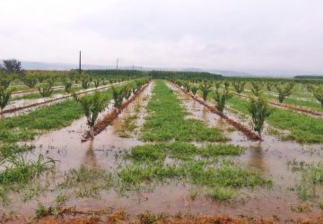 Ανακοινώθηκαν τα πορίσματα εκτίμησης ζημιών από την Βροχόπτωση της 14ης Οκτωβρίου 2021 στις καλλιέργειες της τ.κ. Βρυσακίου