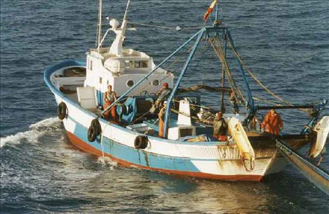 Τροπολογίες Λιβανού: Πότε απαγορεύονται οι μηχανότρατες – οι όροι αλιείας για το συμιακό γαριδάκι