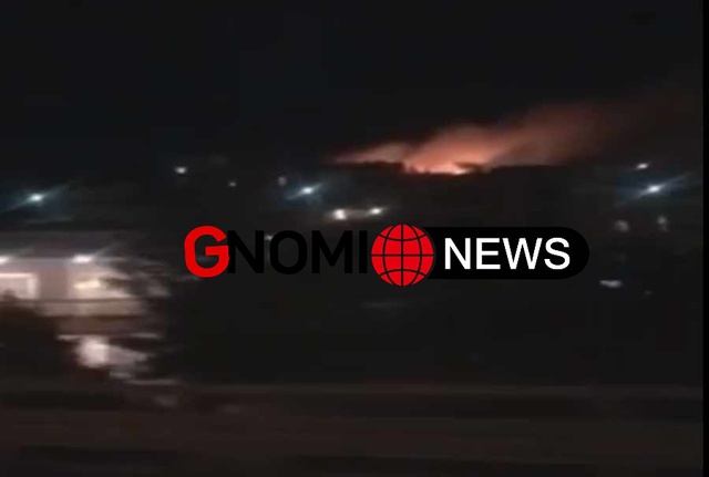 Θεσσαλονίκη : Φωτιά ξέσπασε στο δάσος του Σέιχ Σου (video)