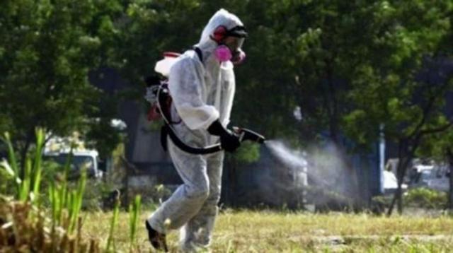 Επίγειοι ψεκασμοί την Τετάρτη στην Τοπική Κοινότητα Αγγελοχωρίου για την καταπολέμηση κουνουπιών
