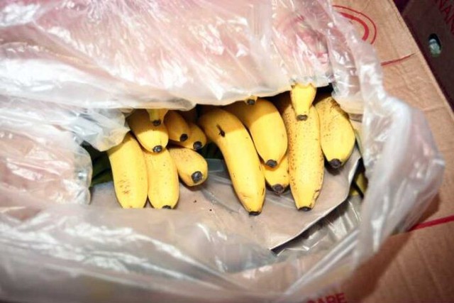 Βέροια: Οι μπανάνες έκρυβαν πάνω από 100 κιλά κοκαΐνη – 8 συλλήψεις