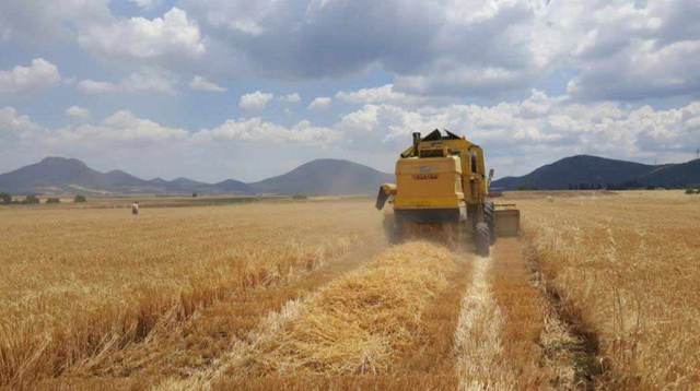 ΕΛΓΑ: Νέα μέτρα στήριξης για τους αγρότες 
