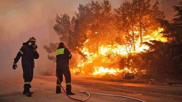 Τιτάνια η μάχη των πυροσβεστών με τις φλόγες στην Αλεξανδρούπολη - Ενισχύονται οι πυροσβεστικές δυνάμεις