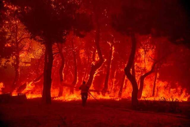 Φωτιά στην Αλεξανδρούπολη: Πύρινη «κόλαση» για δεύτερη ημέρα – Κάηκαν σπίτια σε Πεύκα και Αετοχώρι
