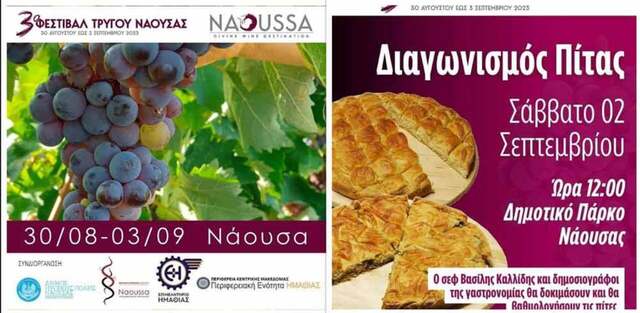 Διαγωνισμός πίτας στο 3ο Φεστιβάλ Τρύγου του Δήμου Νάουσας!