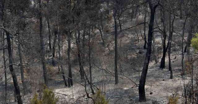 Έβρος: Χωρίς ενεργά μέτωπα πυρκαγιάς - Επέστρεψαν στα σπίτια τους οι κάτοικοι της Λευκίμμης