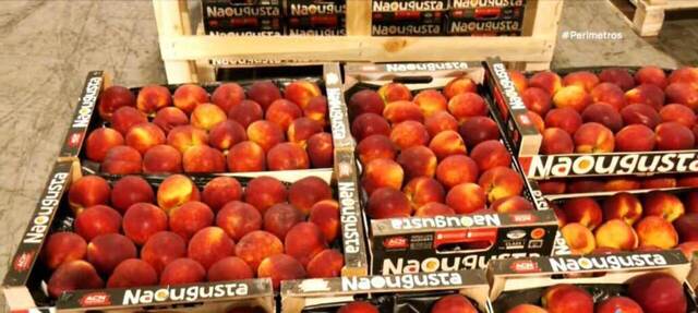 Διάκριση για το ροδάκινο Ναούσης Naougusta - Το καλύτερο φρούτο στον κόσμο