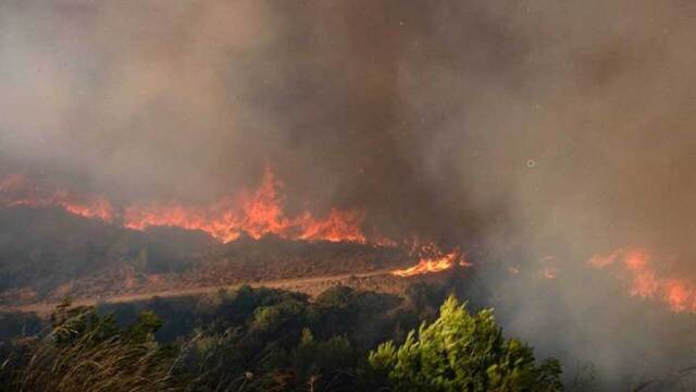 Στον Εισαγγελέα οι ανήλικοι που συνελήφθησαν για τη φωτιά στη Γλυφάδα