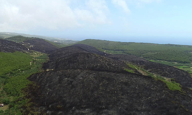 Zάκυνθος: Εκατοντάδες καμμένα στρέμματα στην πρώτη φετινή μεγάλη πυρκαγιά 