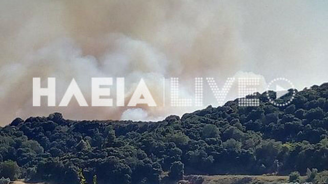 Πυρκαγιά στην Αμαλιάδα: Εντολή εκκένωσης στο χωριό Δάφνη Ηλείας 