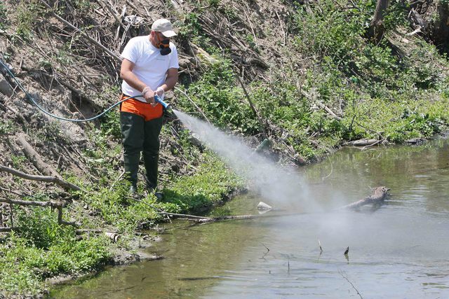 Σε εξέλιξη το Πρόγραμμα Καταπολέμησης των Κουνουπιών από το Δήμο Αλεξάνδρειας